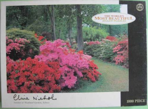 Summer in Woodland Gardens (4129)