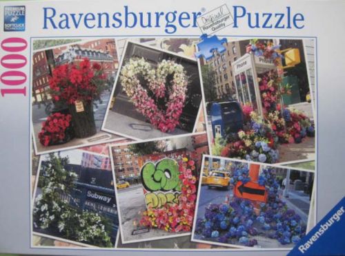 NYC Flower Flash (6348)