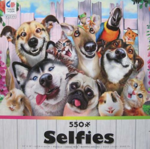 Selfies (6351)