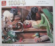 Puppies on Stairs (6356)