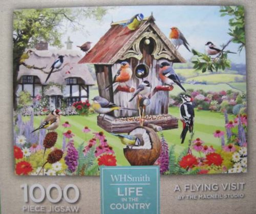 A Flying Visit (6409)