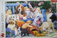 Dogs in the Garden (6440)