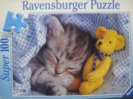 Dreamy Kitten (6565)