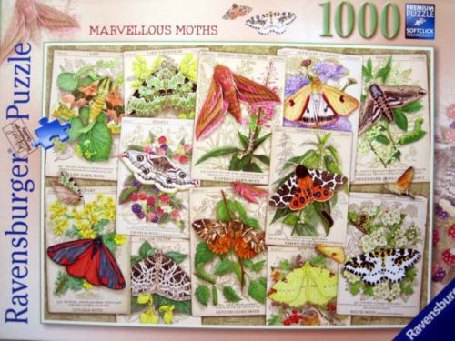 Marvellous Moths (6599)