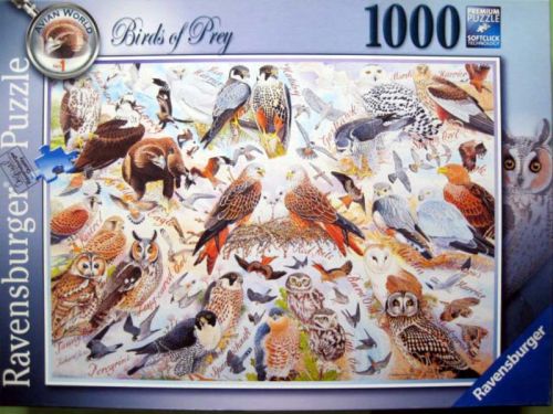 Birds of prey (6601)