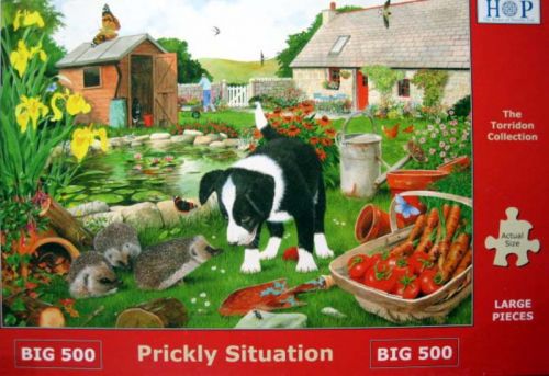 Prickly Situation (6744)