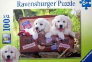 Travelling Pups (6780)