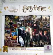 Wizarding World (3862)
